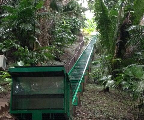 Belizian Jungle Tram / Incline Lift Project cutting through 505 ft of lush rainforest hillside